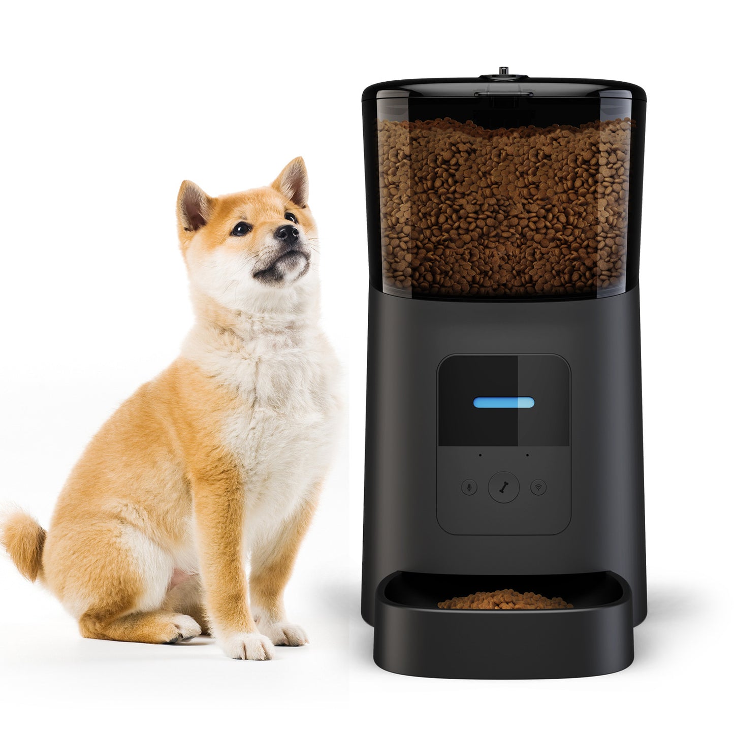 Automatic Pet Feeder