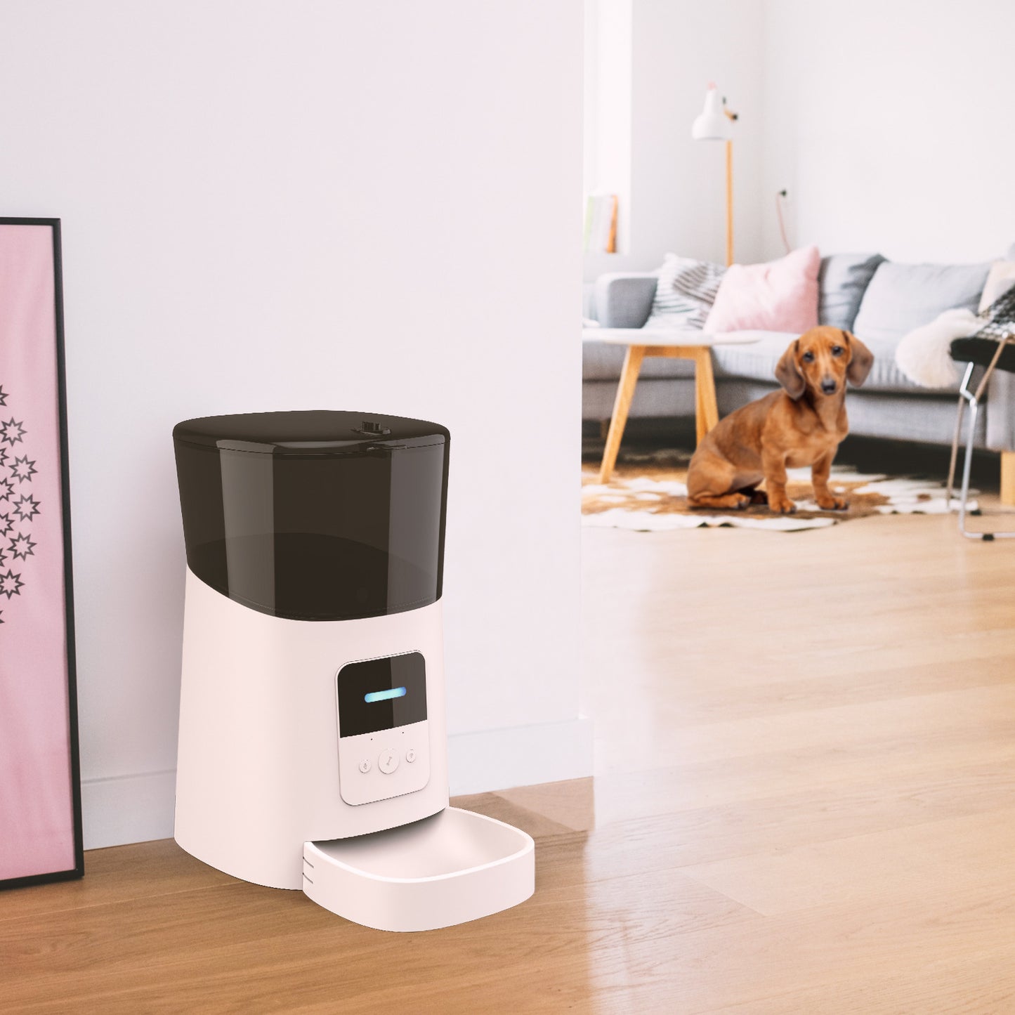 Automatic Pet Feeder